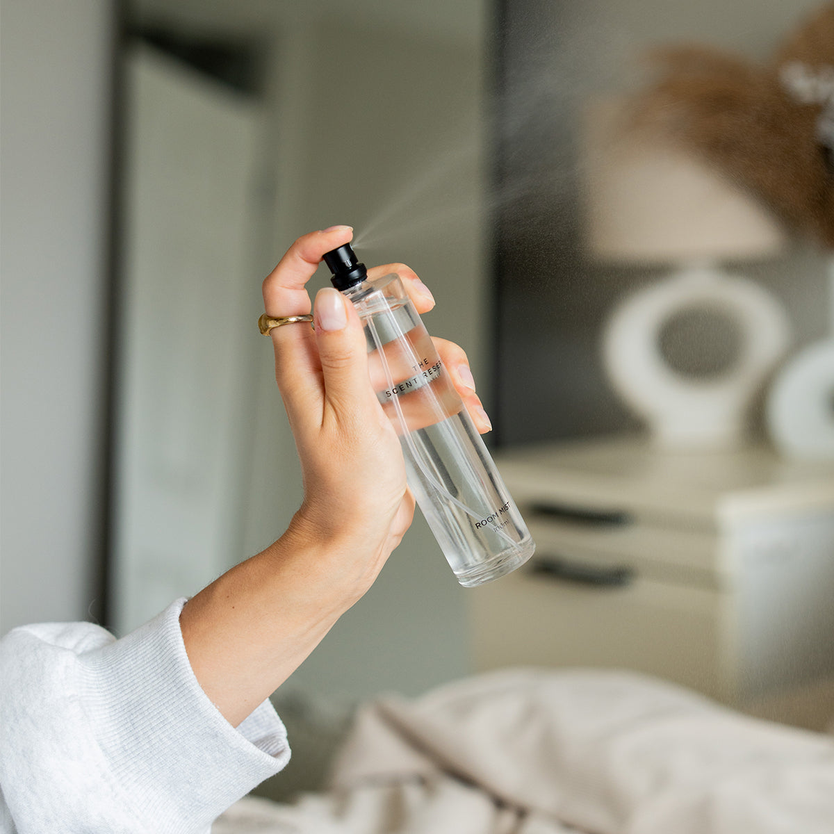 Large room mist